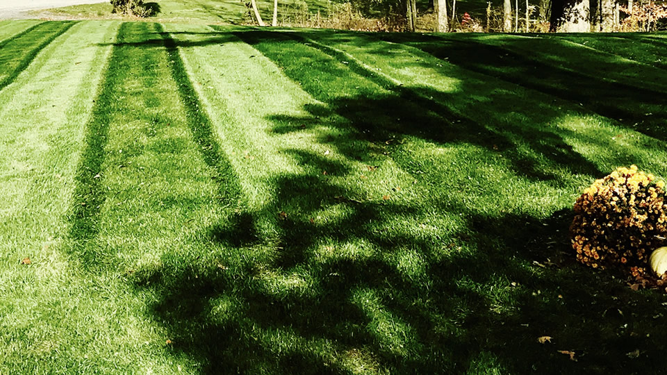 Lawncare
